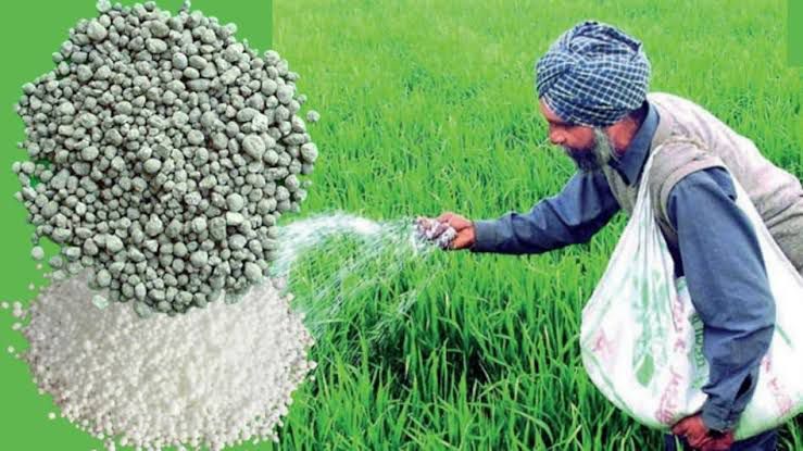 Raigarh News: धौराभांठा के दुकानों के निरीक्षण के दौरान व्यापारी के गोदाम से पाए गए थे 100 बोरी अवैध उर्वरक! कलेक्टर ने प्रतीक अग्रवाल पर लगाया 50 हजार रुपये का जुर्माना! 