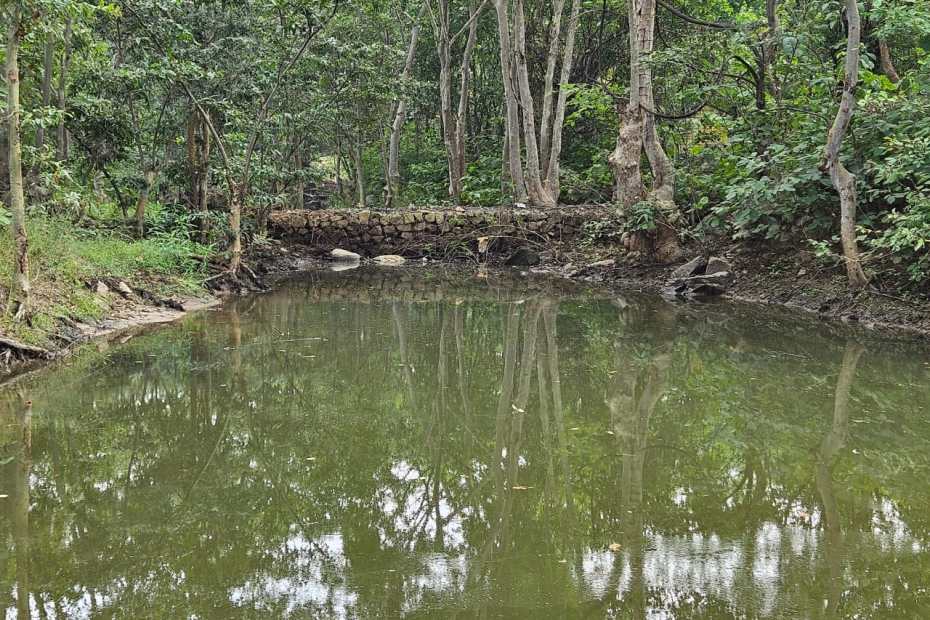 जंगल के पत्थरों से बनाया गेबियन, इधर एक करोड़ का मटेरियल भुगतान