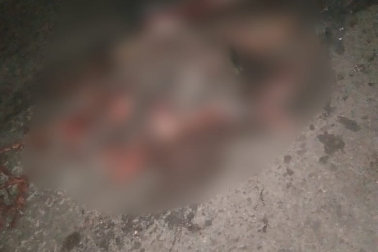Tamnar Breaking : फिर रंगा सड़क खून से हुंकराडिपा चौक पर दर्दनाक सड़क हादसा! अज्ञात वाहन के पहियों में दबकर छत विछत हुई लाश! जांच में जुटी तमनार पुलिस…